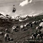 Flims auf Naraus