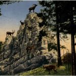 St. Gallen - Steinbockfelsen