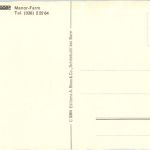 Camping Platz Manor Farm bei Interlaken