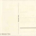 Am Weg nach Seebenalp