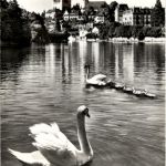 Thun