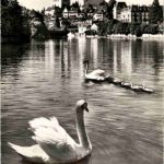 Thun