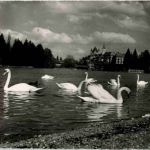 Thun