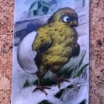 Vogel - bewegliche Augen - moving eyes
