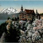 Weggis - Hotel Albana