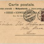 Blaumeisen - Litho