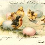 Kücken - Litho