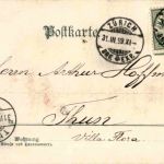 Kücken - Litho