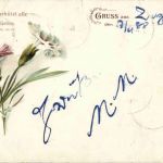 Gruss aus - Blumen Nelken