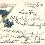 Gruss aus - Blumen