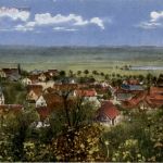 Nussbaumen