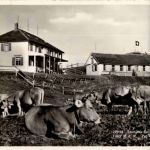 Gasthaus Hundwilerhöhe - Hundwil