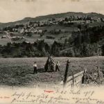 Trogen