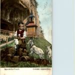 Appenzeller Trachten - Ziege Goat - Wildkirchli
