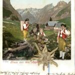 Gruss aus dem Appenzell mit Edleweiss