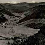 Menzenschwander Tal vom Feldberg
