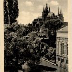 Erfurt - Blick auf den Dom