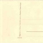 Alpe Egg - Rodelbahn