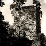 Pappenheim - Burg