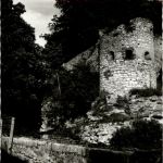 Pappenheim - Burg