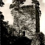 Pappenheim - Burg