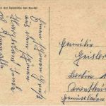 Goslar - Wildgehege der Sennühle - Rehe