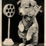 Hund spielt Gitarre