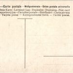 Vogel