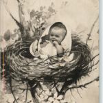 Bagy im Nest