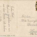 Maccaroni appetitosi