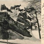 St. Gallen - Wildpark Peter und Paul - Gemsen