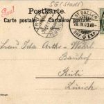 St. Gallen - Wildpark Peter und Paul - Gemsen