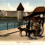 Luzern - Hundekarren