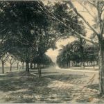 Rio de Janeiro - Avenida Betra Mar