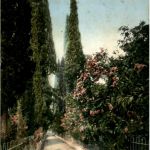 Granada - Generalife