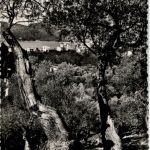 Palma de Mallorca - Puerto de Soller