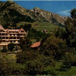 Chateau d Oex - La Soldanelle