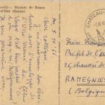 Chateau d Oex - La Soldanelle