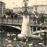 Les Mouettes a Geneve