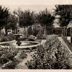 Souk el Arba - Jardin de la Place