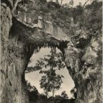 Carlotta Arch - Jenolan