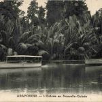 Arapokina - L Entree en Nouvelle Guinee