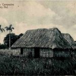 Habana - Bohio Campestre