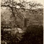 Bingley