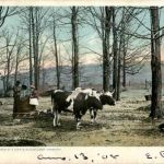 Maple Sugar Camp Vermont