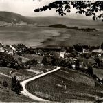 Erlach und Petersinsel