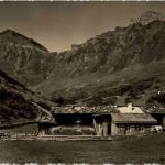 Spielbodenalp ob Mürren