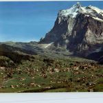 Grindelwald Berner Trachten