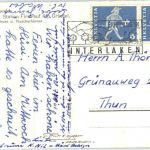 Grindelwald - Bei der Station First Kuh cow