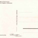 Hornberg Saanenmöser